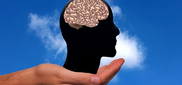 Translators Use Multiple Cognitive Functions At The Same Time