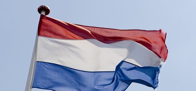 Things You Should Know When You Need A Dutch Translator For Your Website
