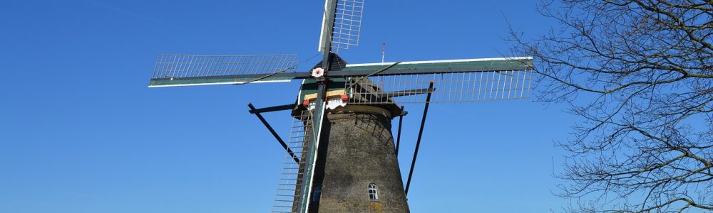 Translations To Dutch Represent A Boom For Miami Businesses Seeking New Opportunities