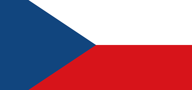 When You Need A Czech Translator In Atlanta
