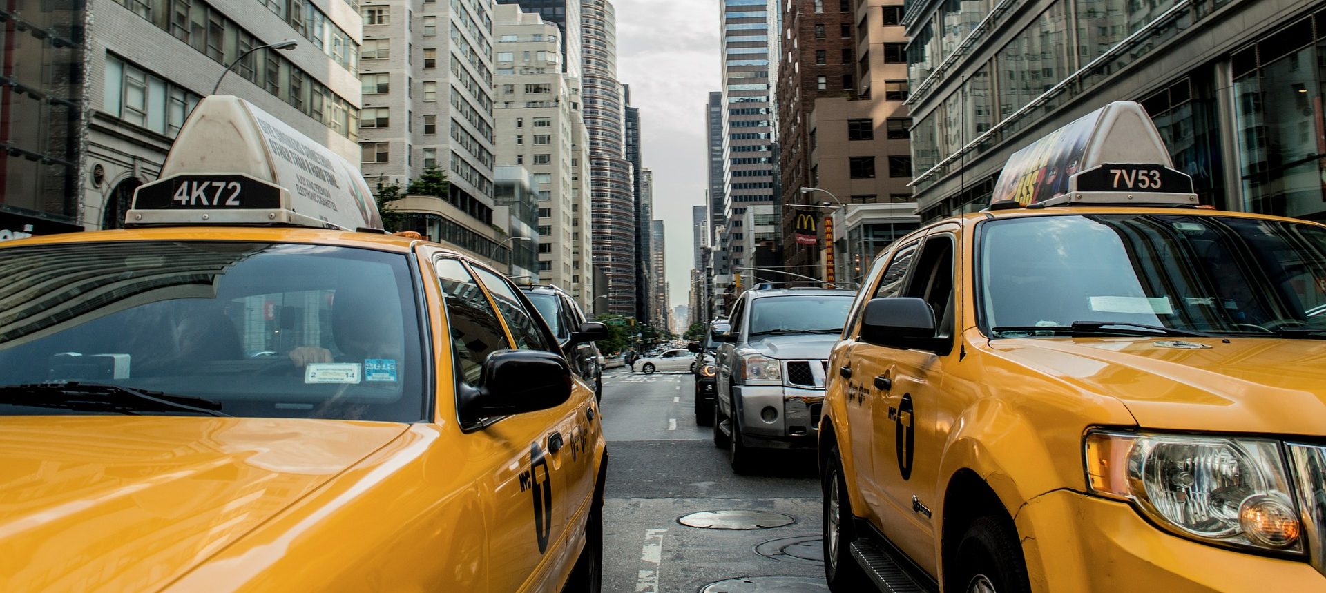 Translator New York