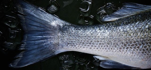 Butter By The Fish: How Accurate Are Your German-English Translations?
