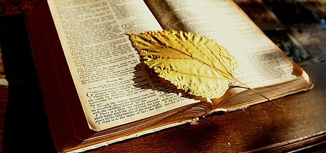 Translation Of The Bible And Evolution Of The English Language