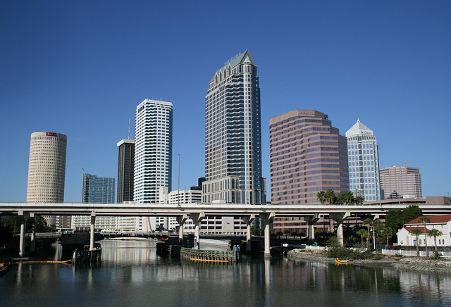 Tampa translation services